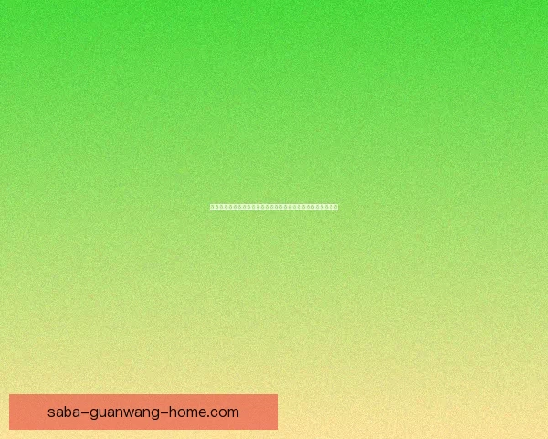 体育竞猜官网全新上线，提供专业赛事分析与实时投注技巧指南