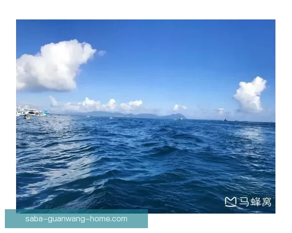 沙巴打不开怎么办？解决常见问题的详细步骤与建议