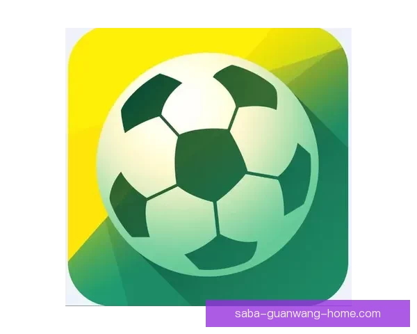 世界杯竞猜网站推荐大全 精选最全平台助您轻松赢大奖